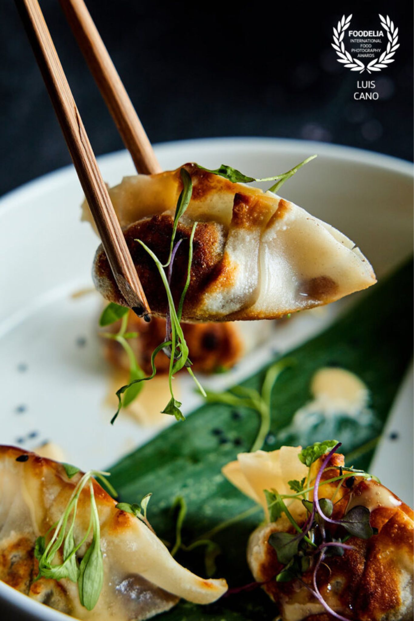 Foodelia International Awards