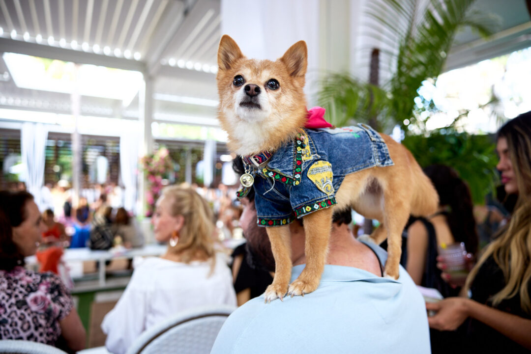 Comprehensive visual production for the 3rd edition of Colombiamoda in Miami. Complete multi-perspective coverage of runway shows, retail pop-ups, and luxury brand activations. Led by Luis Cano with a specialized multimedia crew.